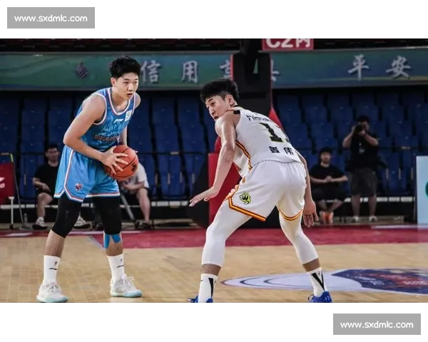 全新赛季开启 各大球队阵容曝光 聚焦球员表现与战术调整